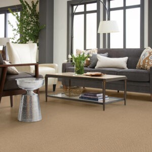 Living room Carpet flooring | Bodamer Brothers Flooring
