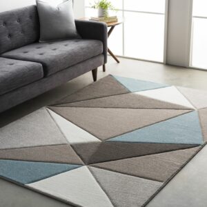 Area rug | Bodamer Brothers Flooring