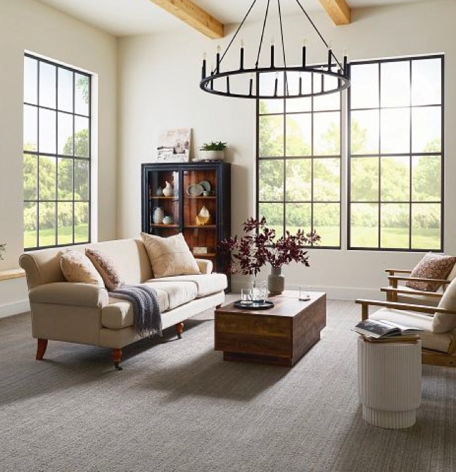 Living room Carpet | Bodamer Brothers Flooring