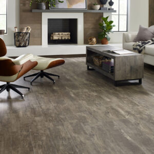 Vinyl flooring for living room | Bodamer Brothers Flooring